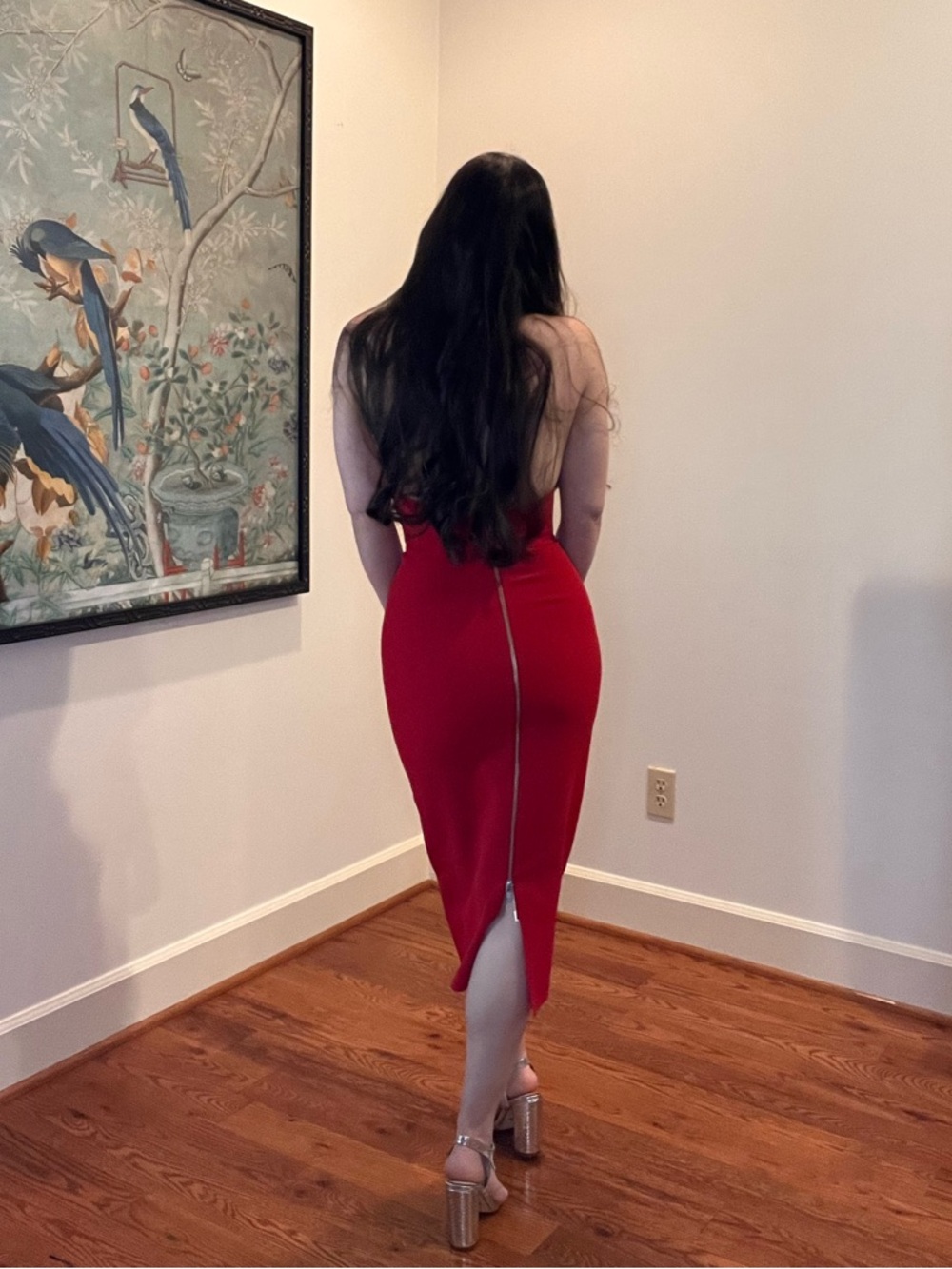Alex Perry Red Dress - Picture 5 of 16